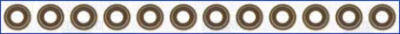 WILMINK GROUP wg1169923 -  